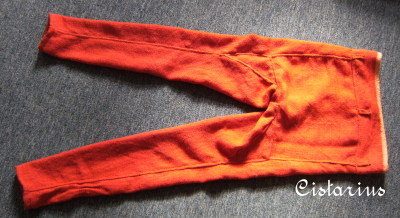 Bild "Hose-02-klein.jpeg"